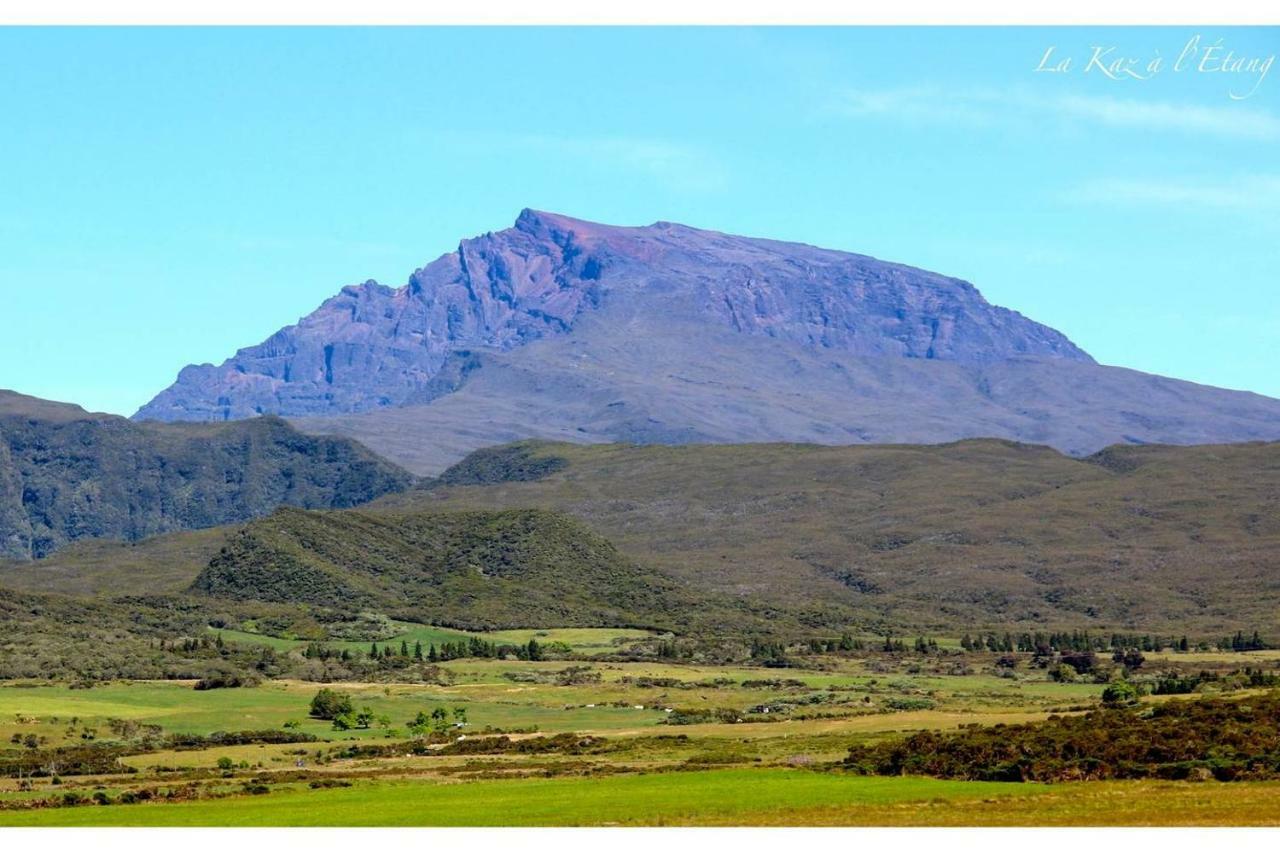 La Kaz A L'Etang - Votre Location De Vacances A L'Ile De La Reunion Saint-Louis Buitenkant foto