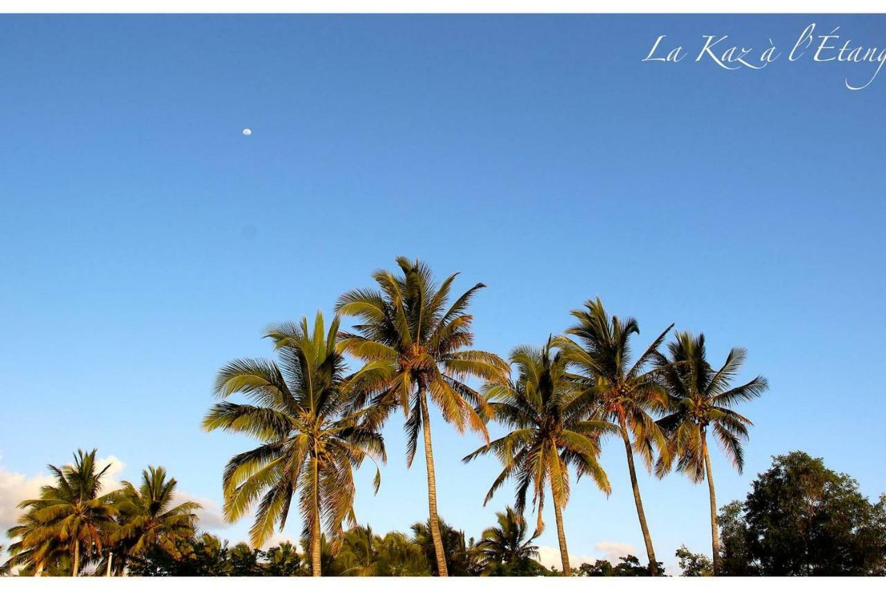 La Kaz A L'Etang - Votre Location De Vacances A L'Ile De La Reunion Saint-Louis Buitenkant foto